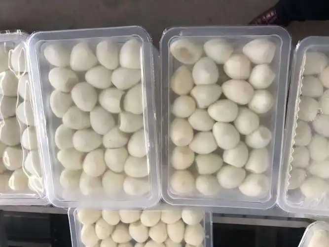 整線解決方案,優化生產流程:鵪鶉蛋包裝神器來襲